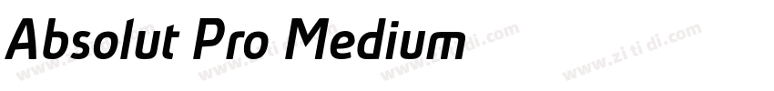 Absolut Pro Medium字体转换